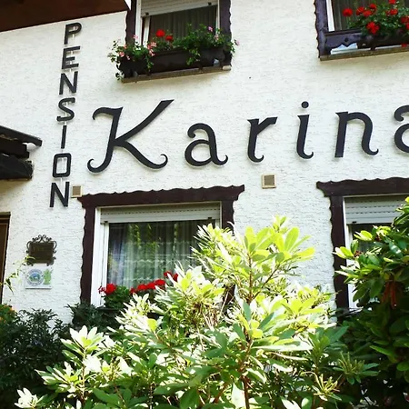 Gasthof Karina Lindenfels