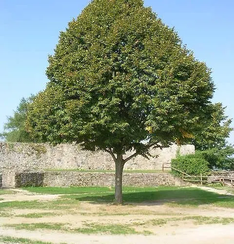 Karina 3* Lindenfels